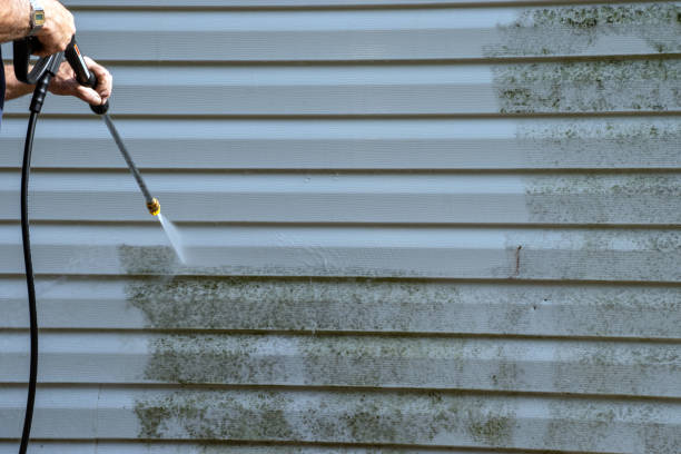 Best Hoarding Cleanup  in Purvis, MS